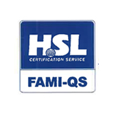 FAMI-QS