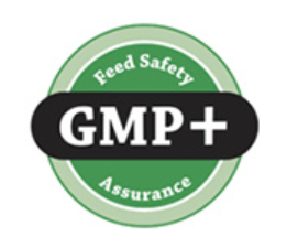 GMP
