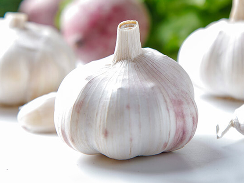 Garlic Allicin