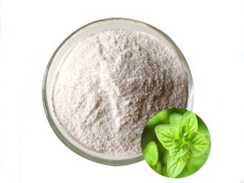 Oregano oil Powder