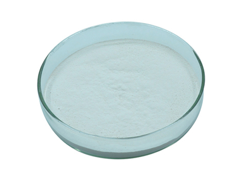 Clostridium Butyricum