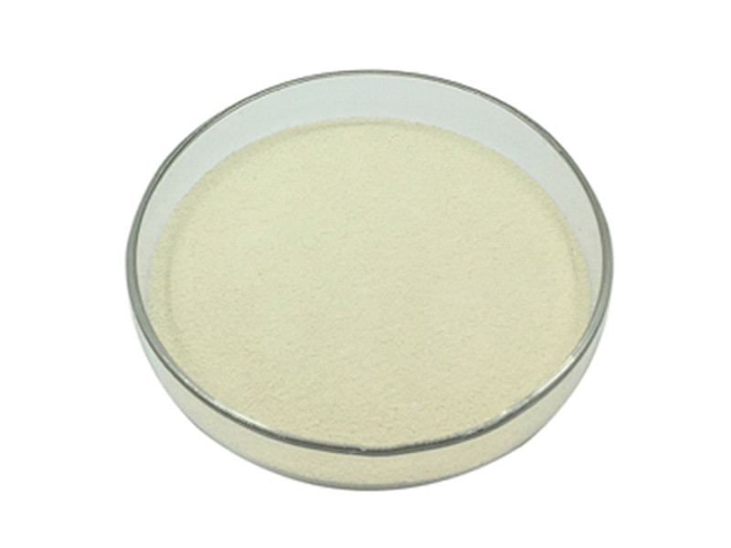 Thermostable Phytase